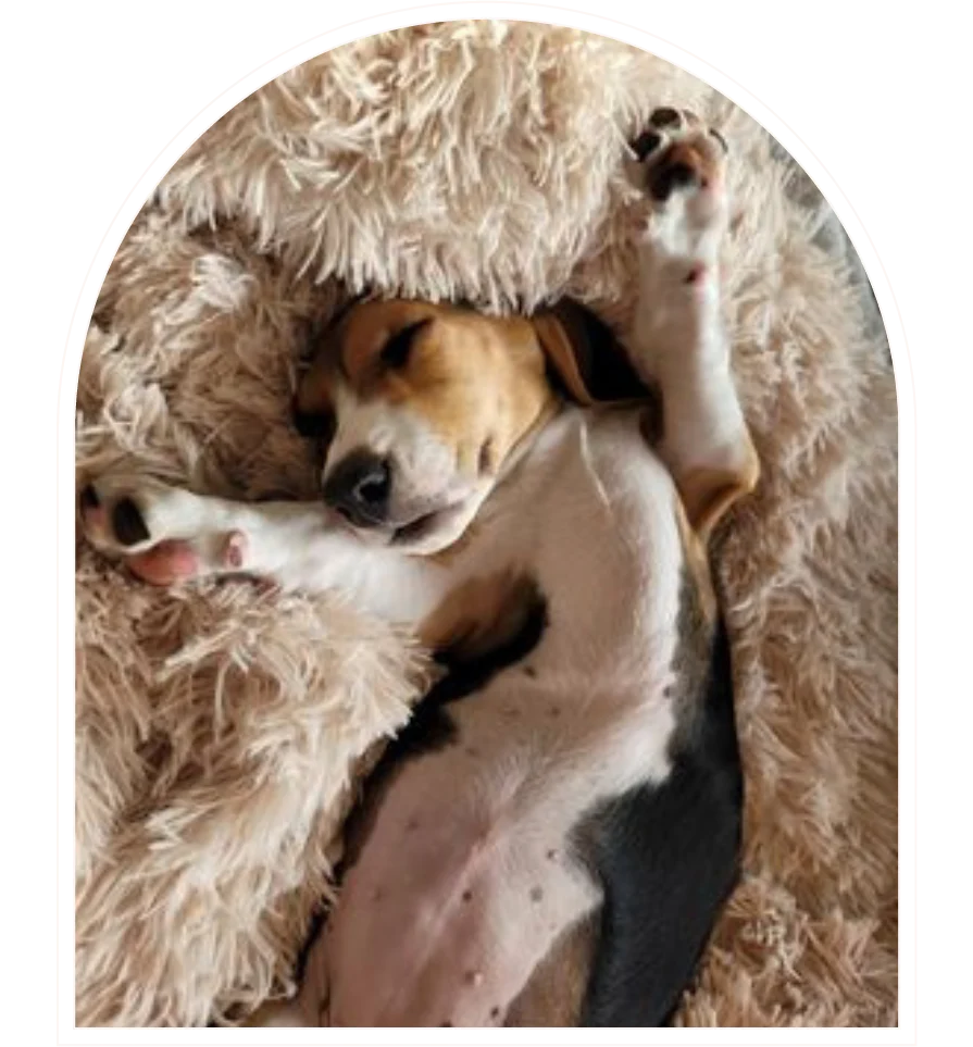 Welcome to Our Store